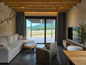 1000059726 salon z wielkim oknem balkonowym