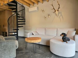 1000059727 salon domku zaprojektowany przez architekta wnętrz we Wrocławiu WIUMI